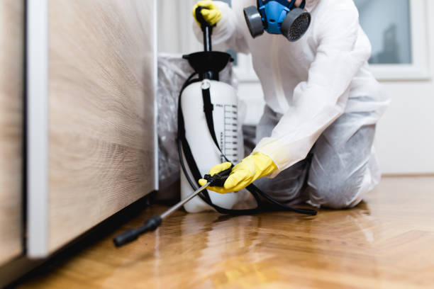 Best Pest Inspection Near Me  in Mission, TX