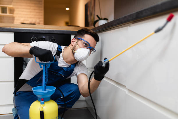 Professional Pest Control in Mission, TX