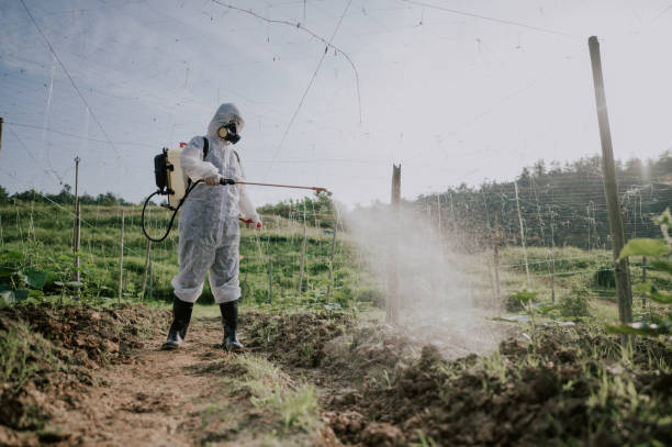 Best Mosquito Control Services  in Mission, TX
