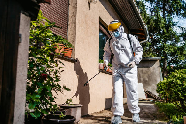 Best Pest Control for Businesses  in Mission, TX