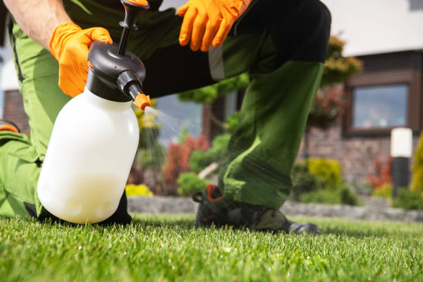 Best Affordable Pest Control Services  in Mission, TX