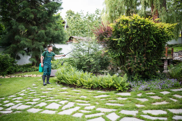 Best Pest Prevention Services  in Mission, TX