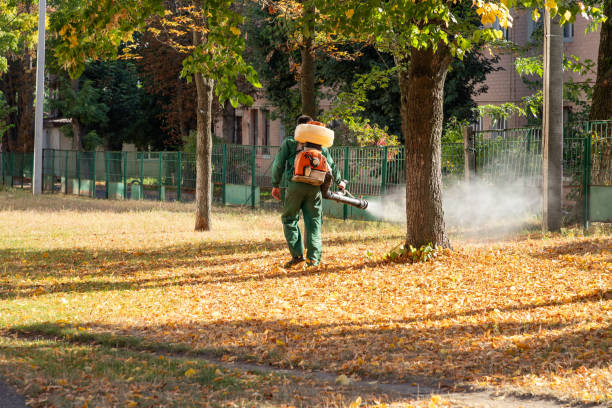 Best Mosquito Control Services  in Mission, TX