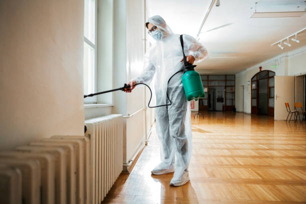 Best Local Pest Control Services  in Mission, TX