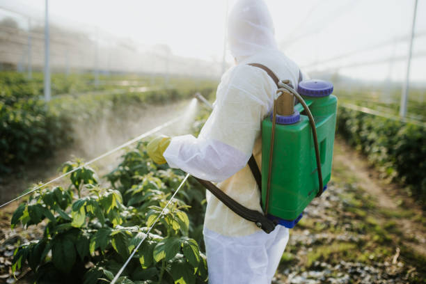 Best Best Pest Control Companies  in Mission, TX